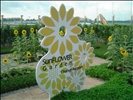 Changi Airport "Sun Flower Garden"